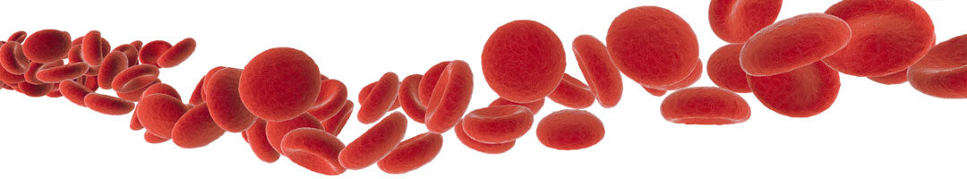 Why Vitamin B-12 is Vital for Energy.
