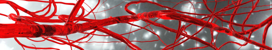 Tired? Can’t Focus? Get a Blood Test.