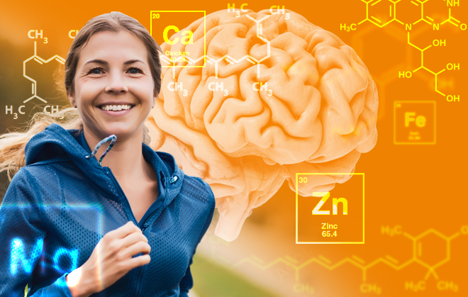 Scientists Unlock the Secret to a Sharper Mind